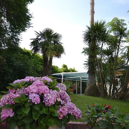 Il Piccolo Nido Bed and Breakfast Borgo Montenero Eksteriør billede