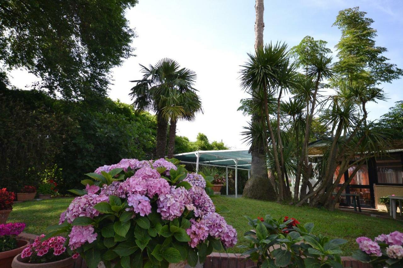 Il Piccolo Nido Bed and Breakfast Borgo Montenero Eksteriør billede