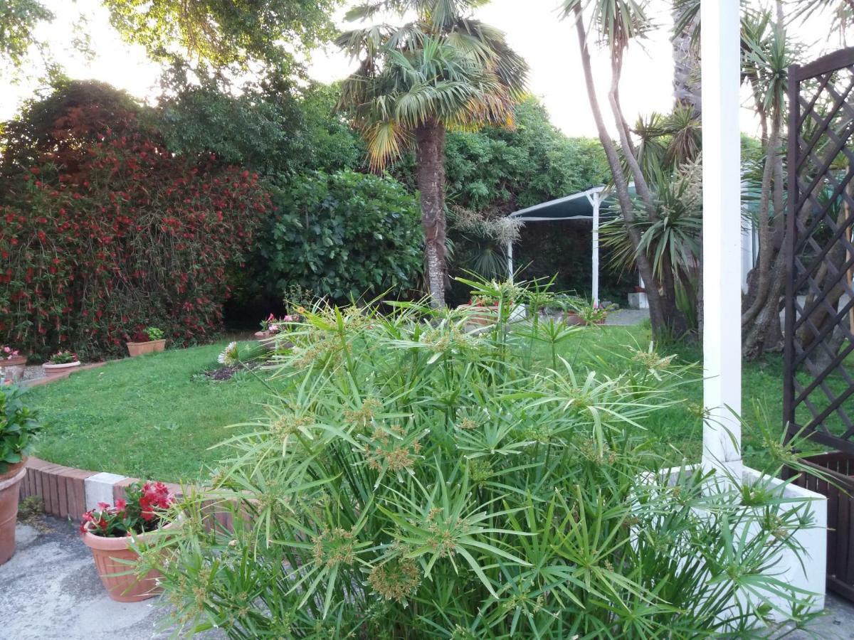 Il Piccolo Nido Bed and Breakfast Borgo Montenero Eksteriør billede